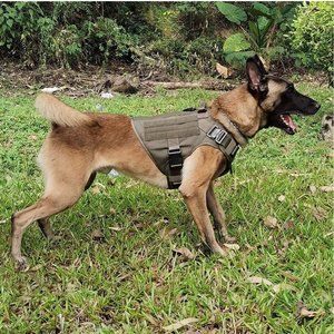 ICEFANG Tactical Dog Harness, 2 Metal Buckles, Velcro Panel